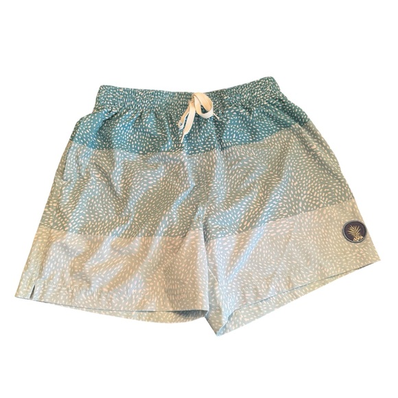 chubbies Other - Chubbies The Whale Shark Classic 5.5" Swim Trunks Men's